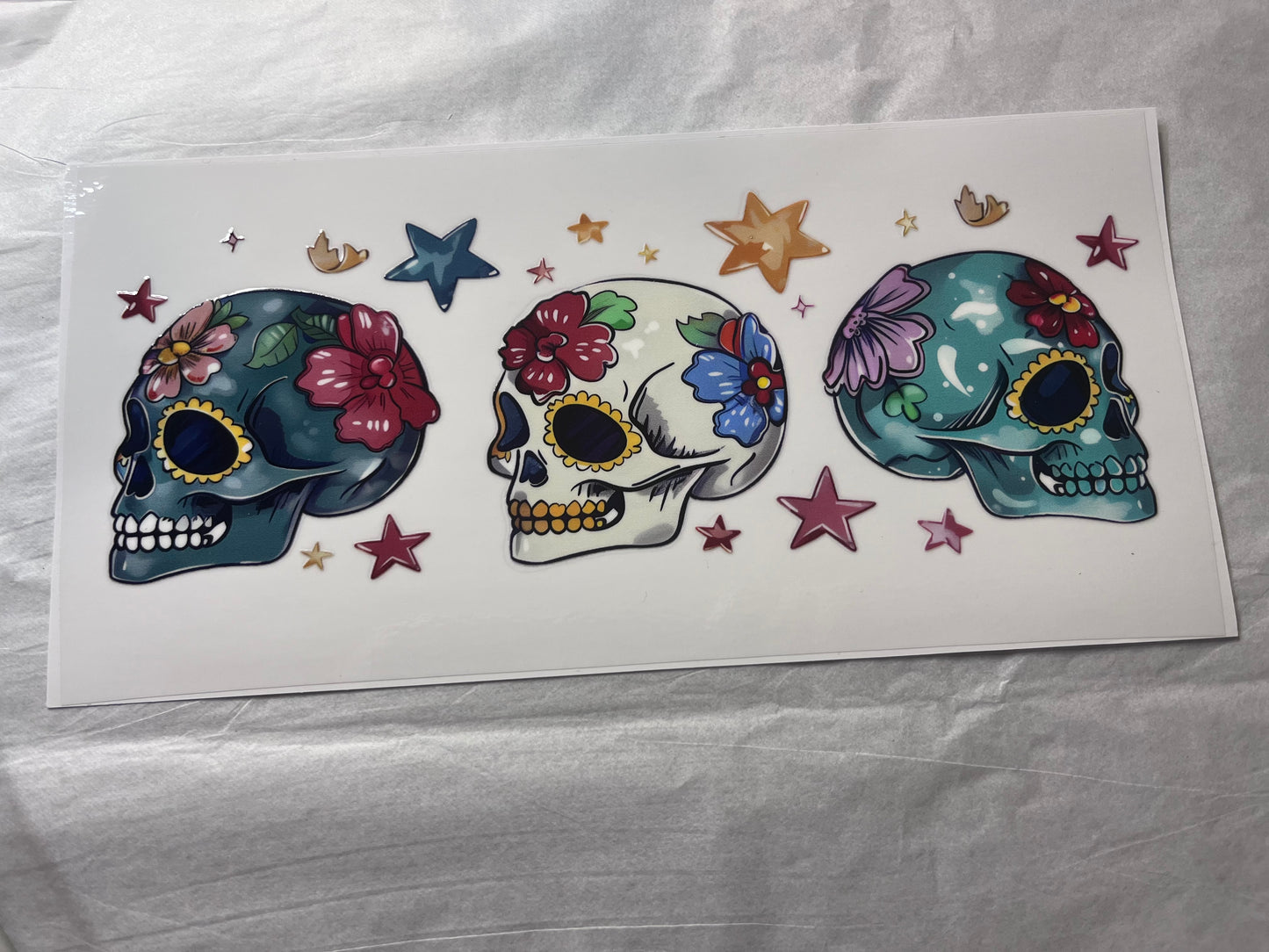 (17) Beach Skulls