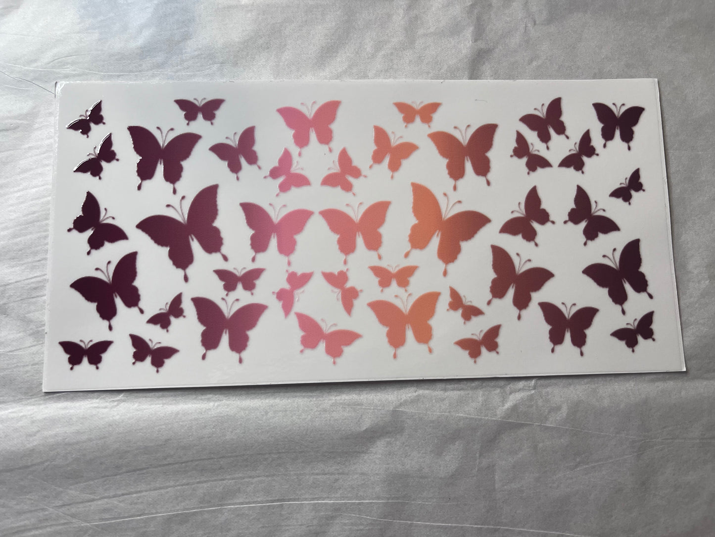(A14) ombré butterfly’s